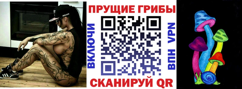 Псилоцибиновые грибы мицелий  Остров 